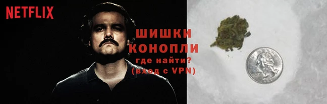 СК Нягань