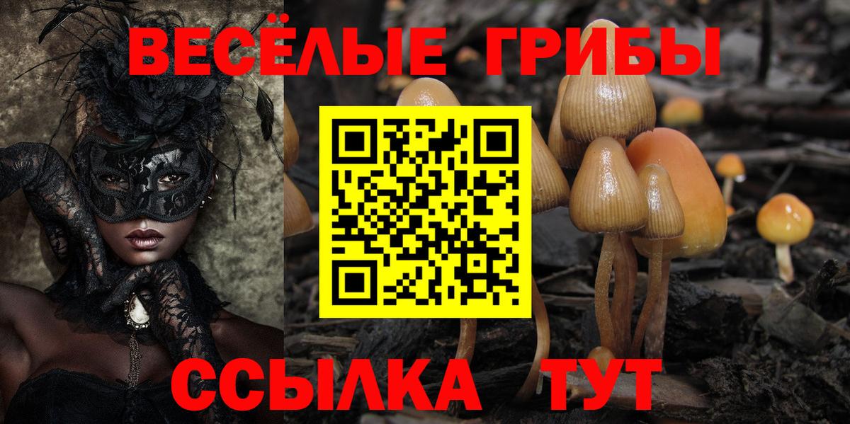 Псилоцибиновые грибы MAGIC MUSHROOMS  Галлюциногенные грибы GOLDEN TEACHER  Вход с VPN  Чебоксары 